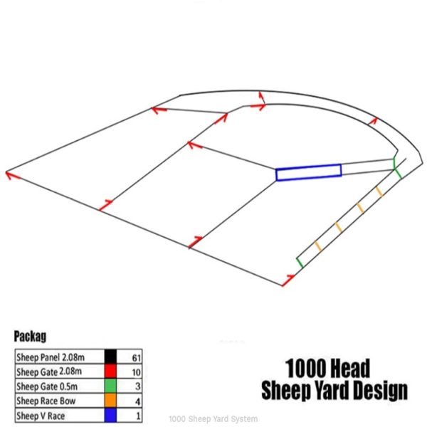 1000 head sheep yard system