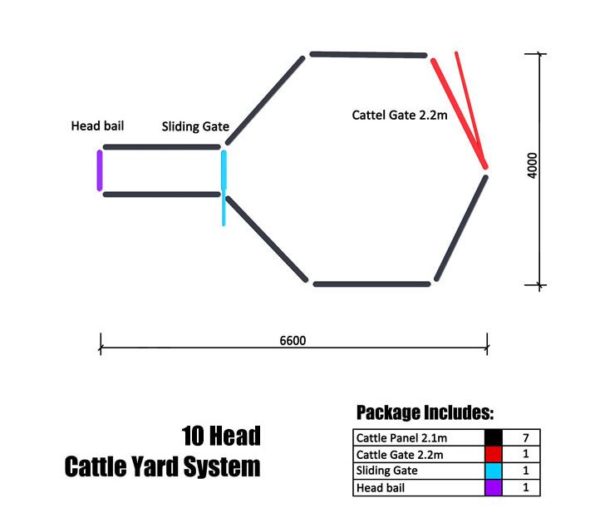 10 head cattle yard system