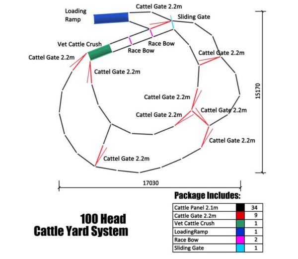 100 head cattle yard design